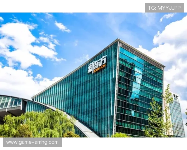 新东方置地的发展规划与未来布局探索